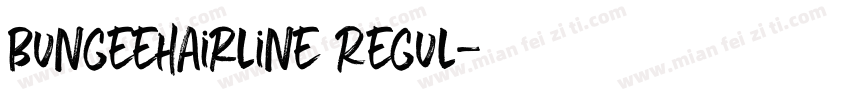 Bungeehairline Regul字体转换